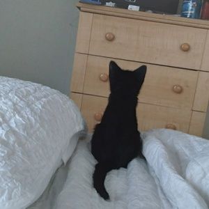 Meet your Posher, Kay